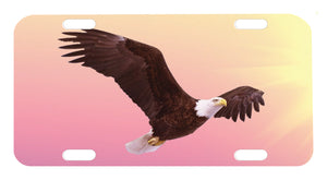 Flying Eagle Tag Graphic for Truck SUV Car