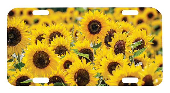 Sun Flower Car License Plate Tag Graphic for Truck SUV or Car