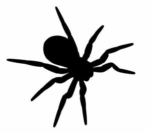 Spider Vinyl Decal Car Truck Window Graphics Stickers