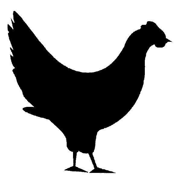 Chicken Vinyl Decal Car Truck Window Graphics Stickers