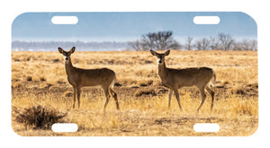 Doe in the Field Tag Graphic for Truck SUV Car