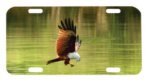 Hawk over Water Tag Graphic for Truck SUV Car