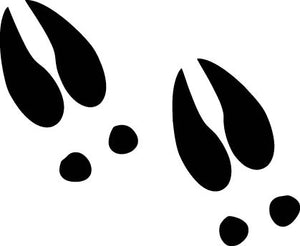 Deer Tracks Vinyl Decal Car Truck Window Graphics Stickers